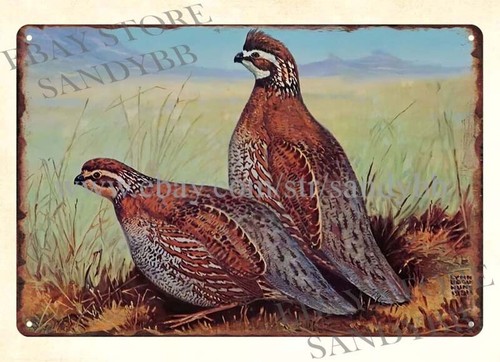 Hunting Quail - 1950S STORZ BEER LYNN BOGUE HUNT