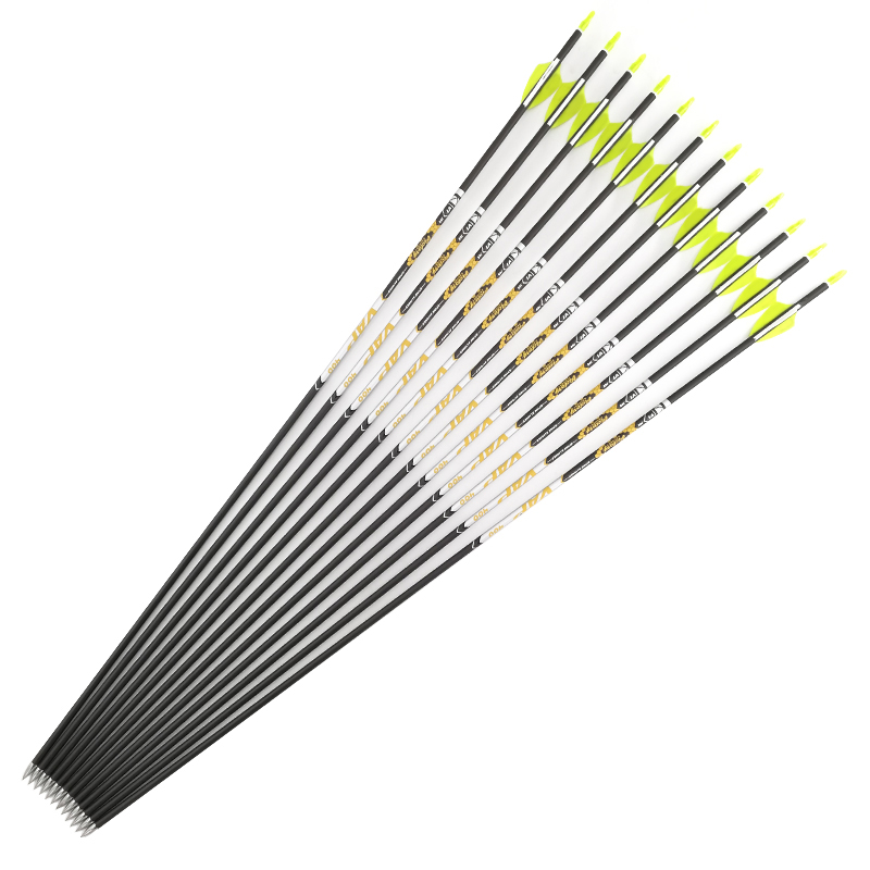 Archery Spine 350 400 450 500  - Hunting Bow Compound recension och pris