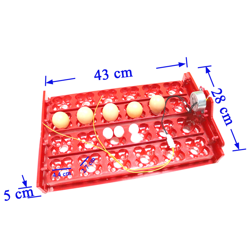 24 Eggs/96 Quail Eggs Hatching - Hunting Quail recension och pris