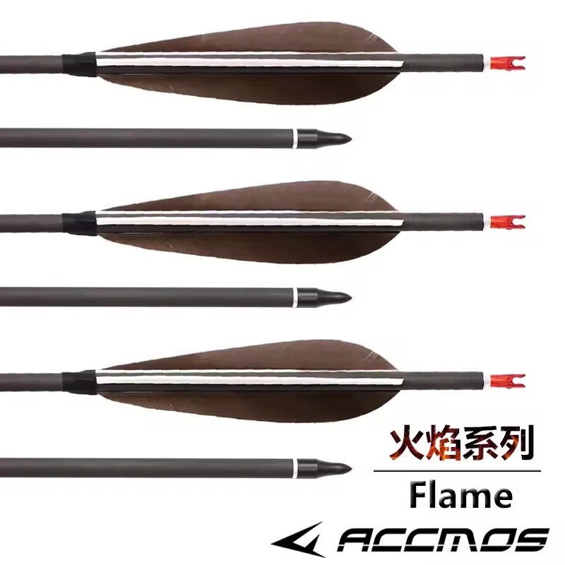 ACCMOS 33inch Pure Carbon Arro - Hunting Bow Compound recension och pris